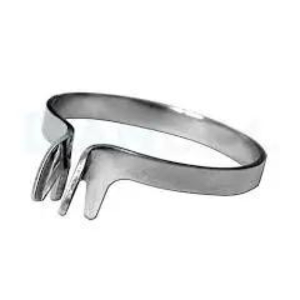 Untitled design (49) Delta Rings