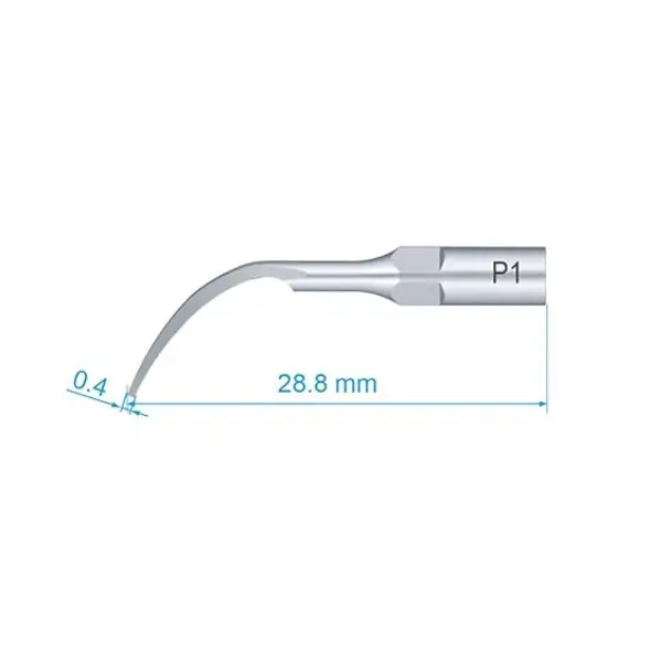 Scaler Tip (EMS Woodpecker) Compatible G1,G2,P1