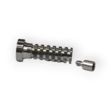 Titanium Cylinder Implant Prosthesis-Compatible with Israel System(Adin)