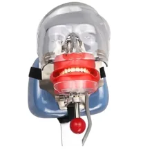 Chair Phantom Head Model