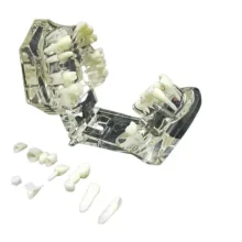 All in one model (white color)